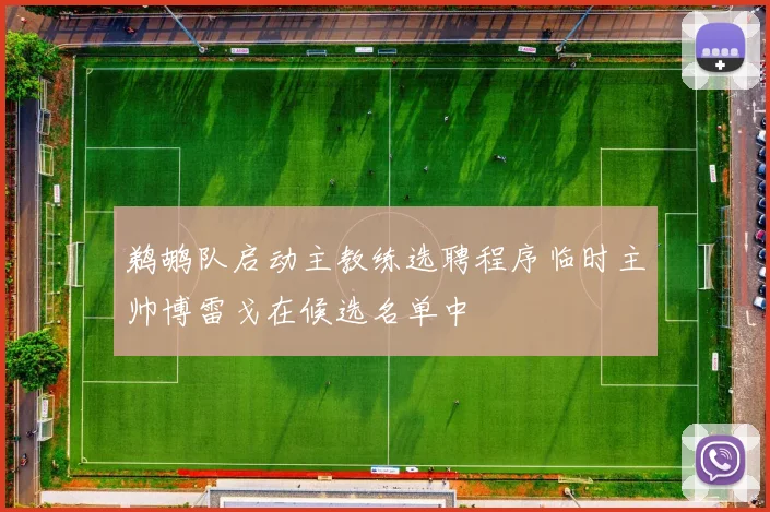 鹈鹕队启动主教练选聘程序临时主帅博雷戈在候选名单中
